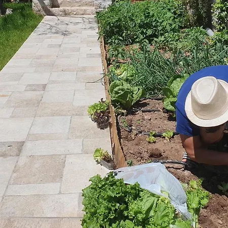 Fouli Vakantiehuis *